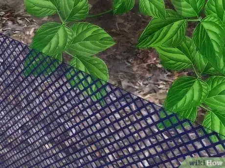 Image titled Create a Vegetable Garden Step 10