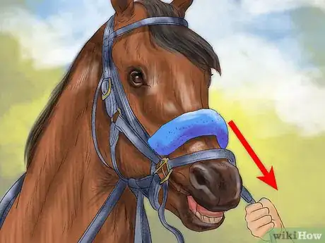 Image titled Get a Horse to Put Its Head Down Step 6