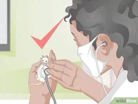 Image titled Know if Your Gerbil Is Having a Seizure Step 9
