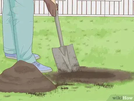 Image titled Plant a Shrub Step 4