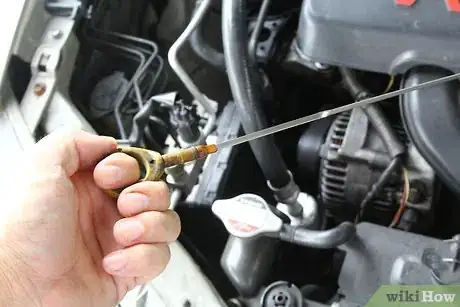 Image titled 4999818 7.JPG