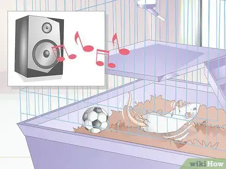Image titled Know if Your Gerbil Is Having a Seizure Step 6