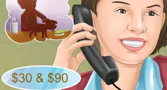 Decide if a Pit Bull Is Right for You