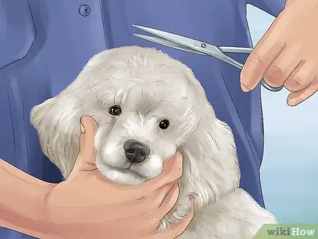 Image titled Know if You Are Ready for a Dog Step 37