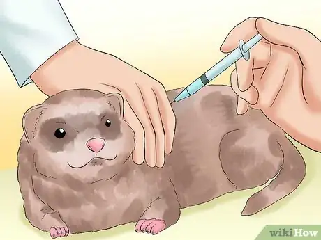 Image titled Decide if a Ferret Is the Right Pet for You Step 12