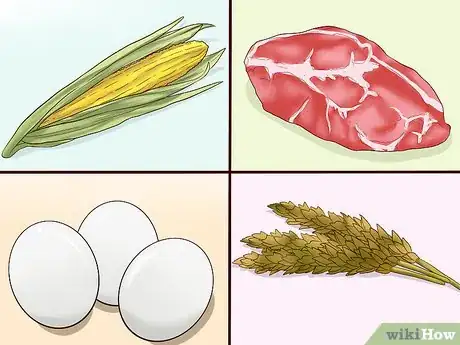 Image titled Ease Your Dog's Stomach Problems Step 8