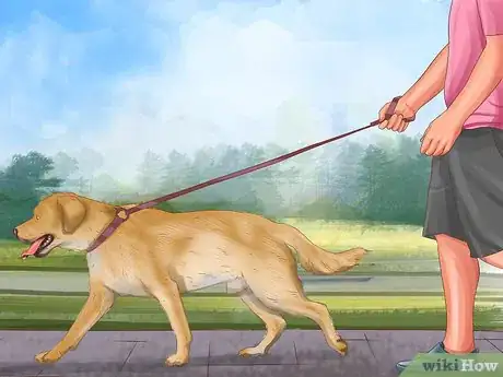 Image titled Protect Pets from Home Repair Dangers Step 10