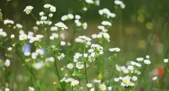 Cope in the World of Ego