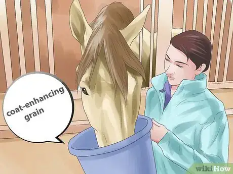 Image titled Prepare for a Horse Show Step 2