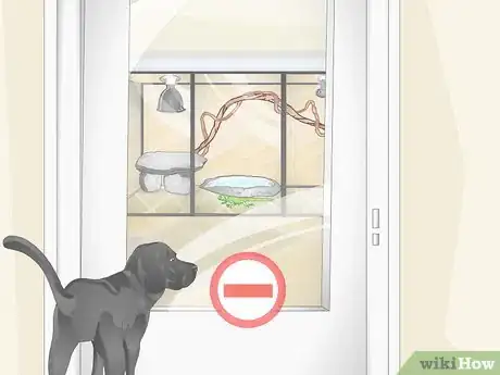 Image titled Care for a Green Iguana Hatchling Step 15