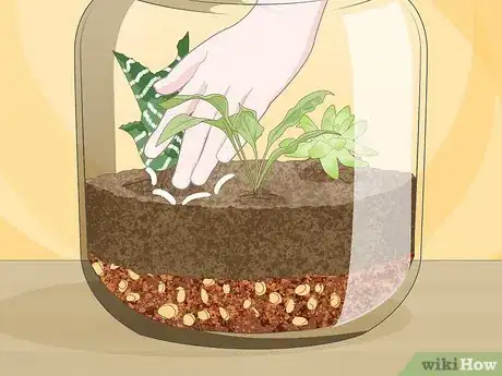 Image titled Grow a Garden in a Bottle Step 11