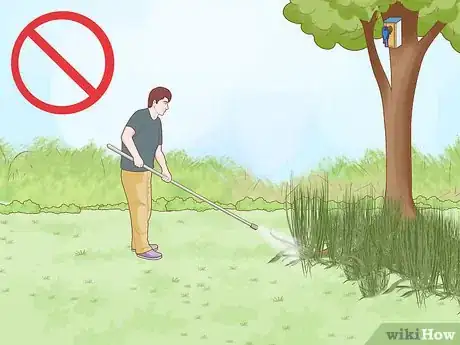 Image titled Attract Eastern Bluebirds Step 11