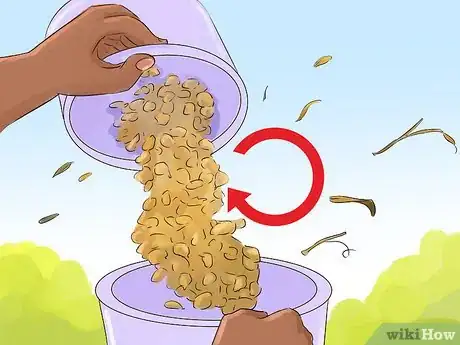 Image titled Harvest Lentils Step 10