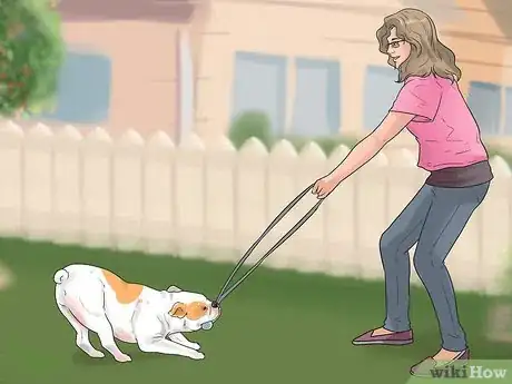Image titled Get Along with Your Dog Step 7