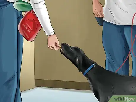 Image titled Know if You Are Ready for a Dog Step 29