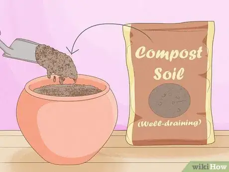 Image titled Plant Freesia Bulbs in Containers Step 4