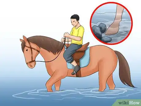 Image titled Train a Horse to Walk Through Water Step 12