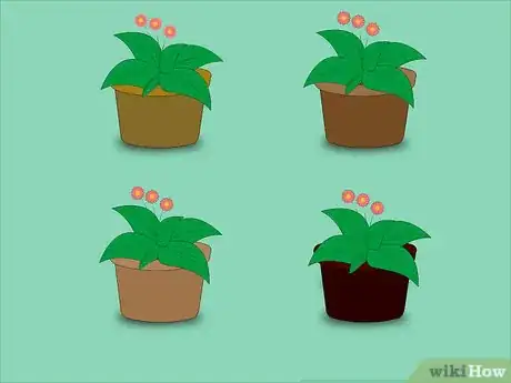 Image titled Make a Shower Caddy Garden Step 2