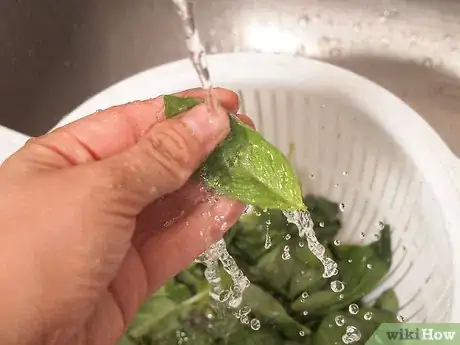 Image titled Freeze Basil Step 19