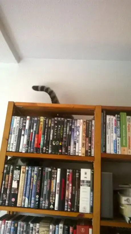 Image titled WP_20140805_010