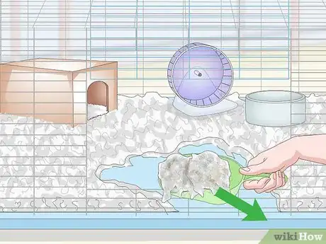 Image titled House a Pet Guinea Pig Step 14