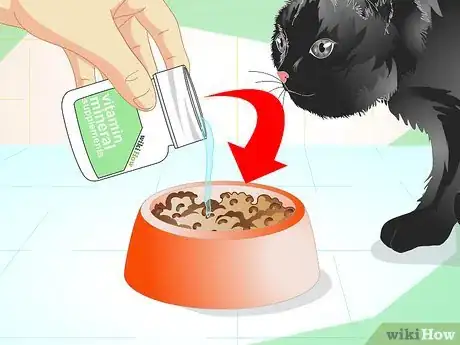 Image titled Care for an Overweight Cat Step 8