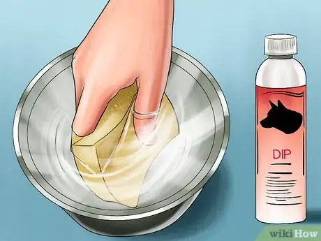 Image titled Keep Ticks from Your Dogs Step 11