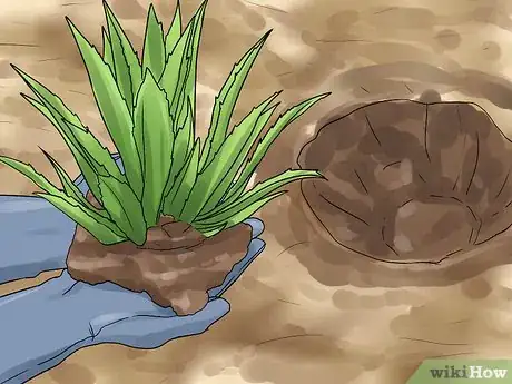 Image titled Grow Great Herbs Step 25