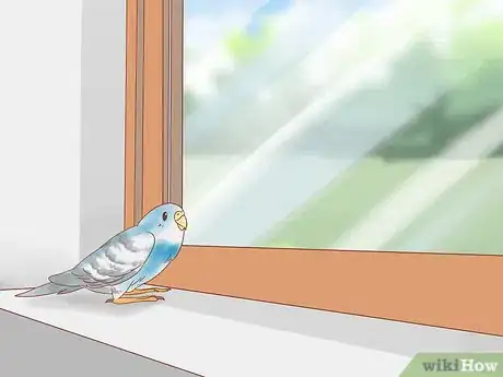 Image titled Stop Feather Plucking in Parakeets Step 12