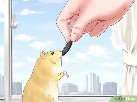 Image titled Train Your Hamster Step 6
