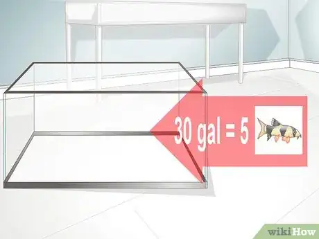 Image titled Take Care of Botia Fish Step 5