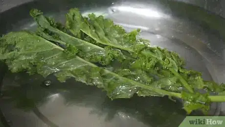 Image titled Store Kale Step 4