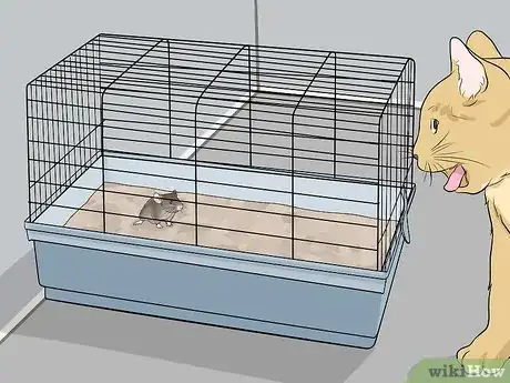 Image titled Keep Pet Mice Safe from Other Pets Step 3