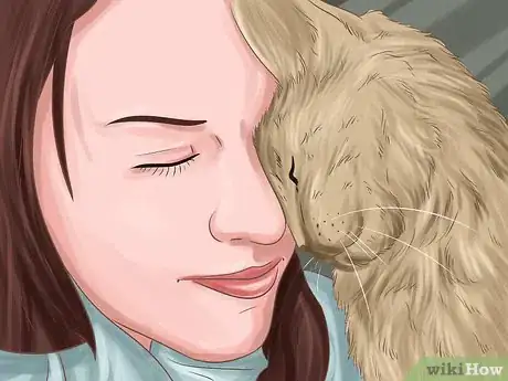Image titled Get a Cat to Be Your Friend Step 6