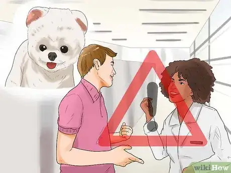 Image titled Diagnose Adrenal Gland Disease in Pomeranians Step 6