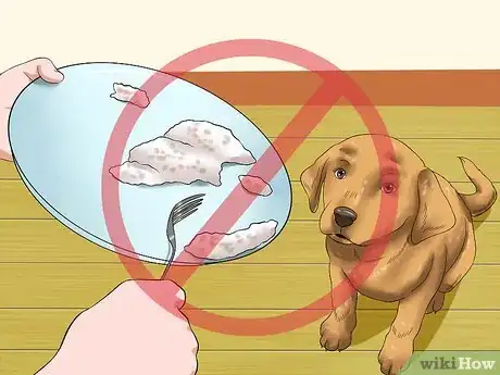 Image titled Love Your Puppy Step 20