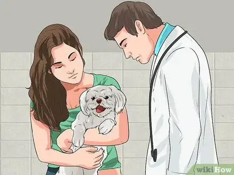 Image titled Treat Urinary Tract Problems in Dogs Step 5