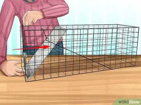 Image titled Catch Weasels Step 6