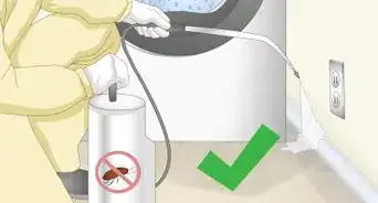 Get Rid of Waterbugs