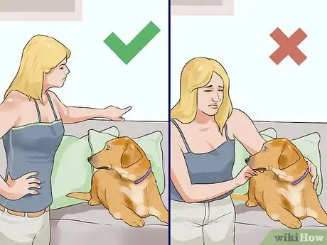 Image titled Set Consistent Limits for a New Dog Step 10