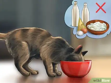 Image titled Treat Diarrhea and Constipation in Dogs and Cats Step 14