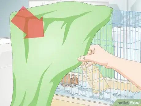 Image titled Help a Gerbil Recover After Stroke Step 4
