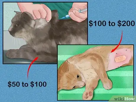 Image titled Budget for a New Cat Step 2