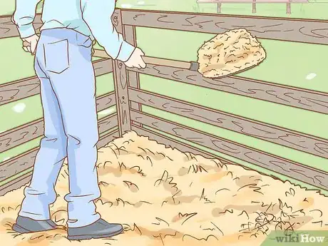 Image titled Prevent Laminitis in Horses Step 11