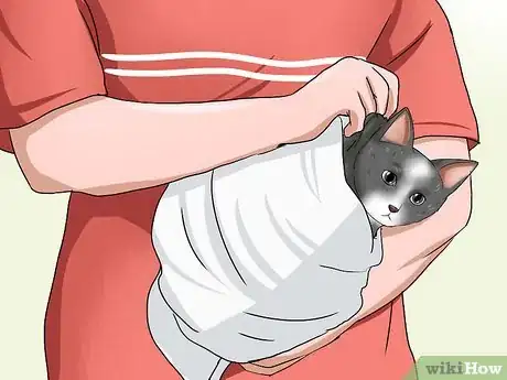 Image titled Tame a Feral Cat Step 10