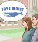 Help Stop Whaling