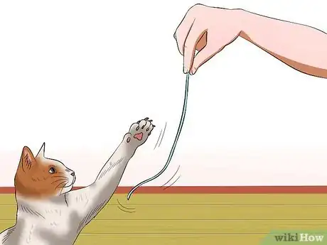 Image titled Amuse Cats Step 8