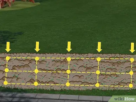 Image titled Plant a Beech Hedge Step 10