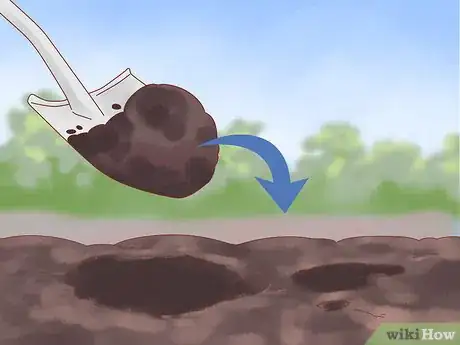 Image titled Plant a Climbing Rose Step 4