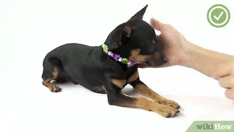 Image titled Make Dog Jewelry Step 4